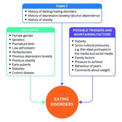 Hesi case study feeding and eating disorders