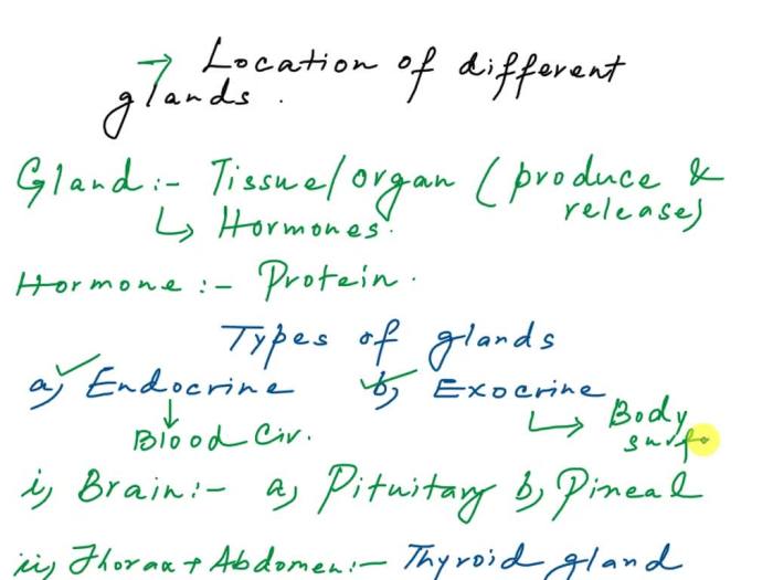 Labeling activity overview heart anatomy internal dissection chegg rior ante pulmonary transcribed text show trunk