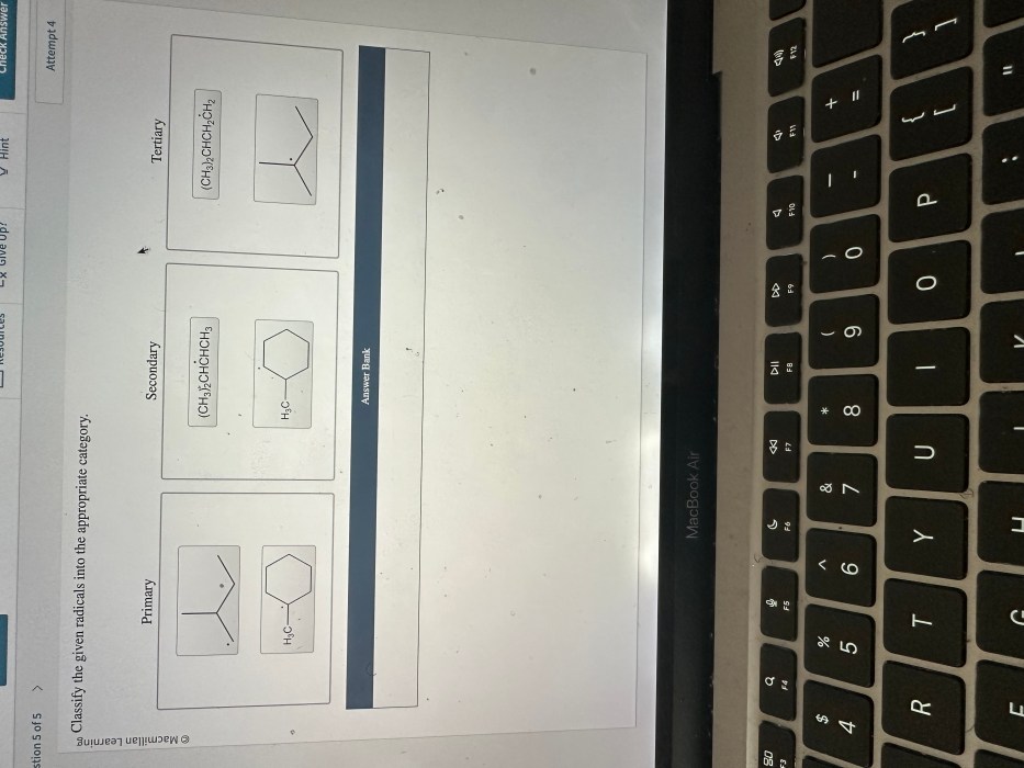 Classify the given radicals into the appropriate category