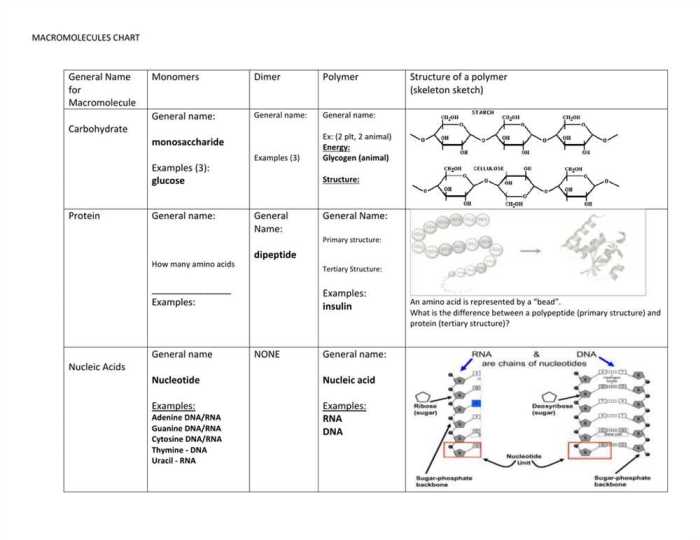 Elements & macromolecules in organisms answer key