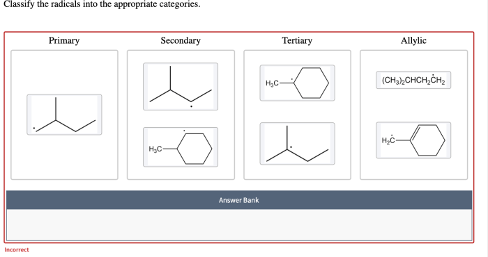 Classify the given radicals into the appropriate category